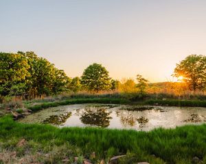 The sun sets behind a small pond, surrounded by green grass and oak trees.