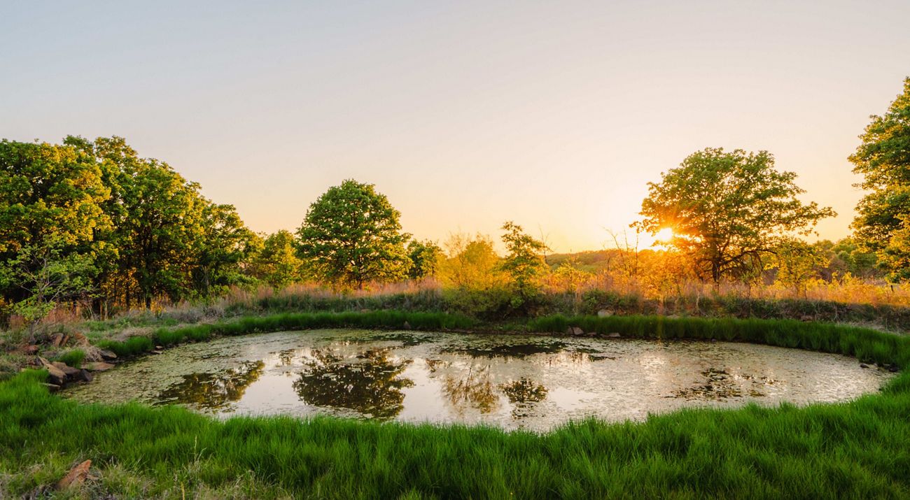 The sun sets behind a small pond, surrounded by green grass and oak trees.