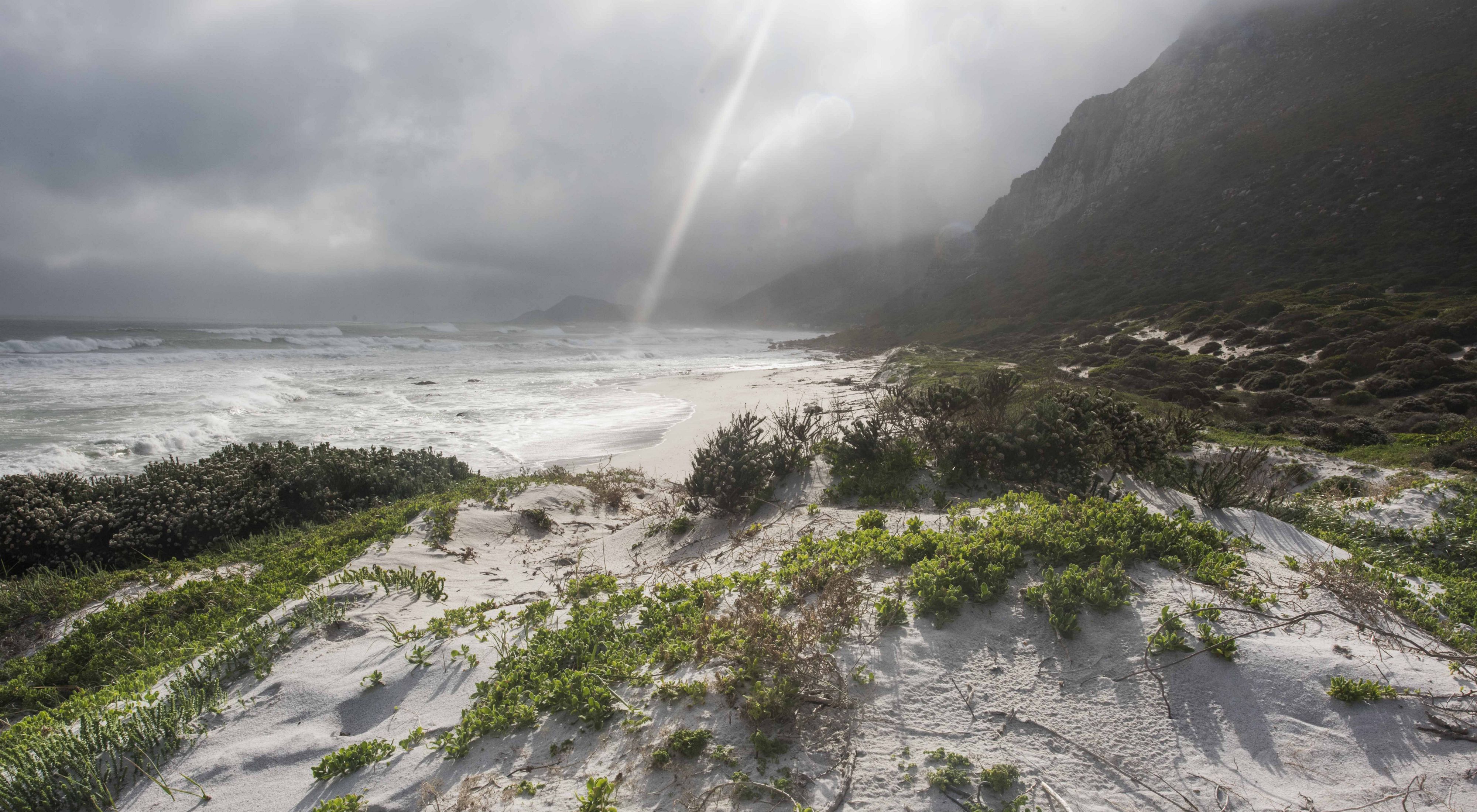 A beach near Cape Town, South Africa 