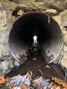 Water flows through a large pipe surrounded by rock.