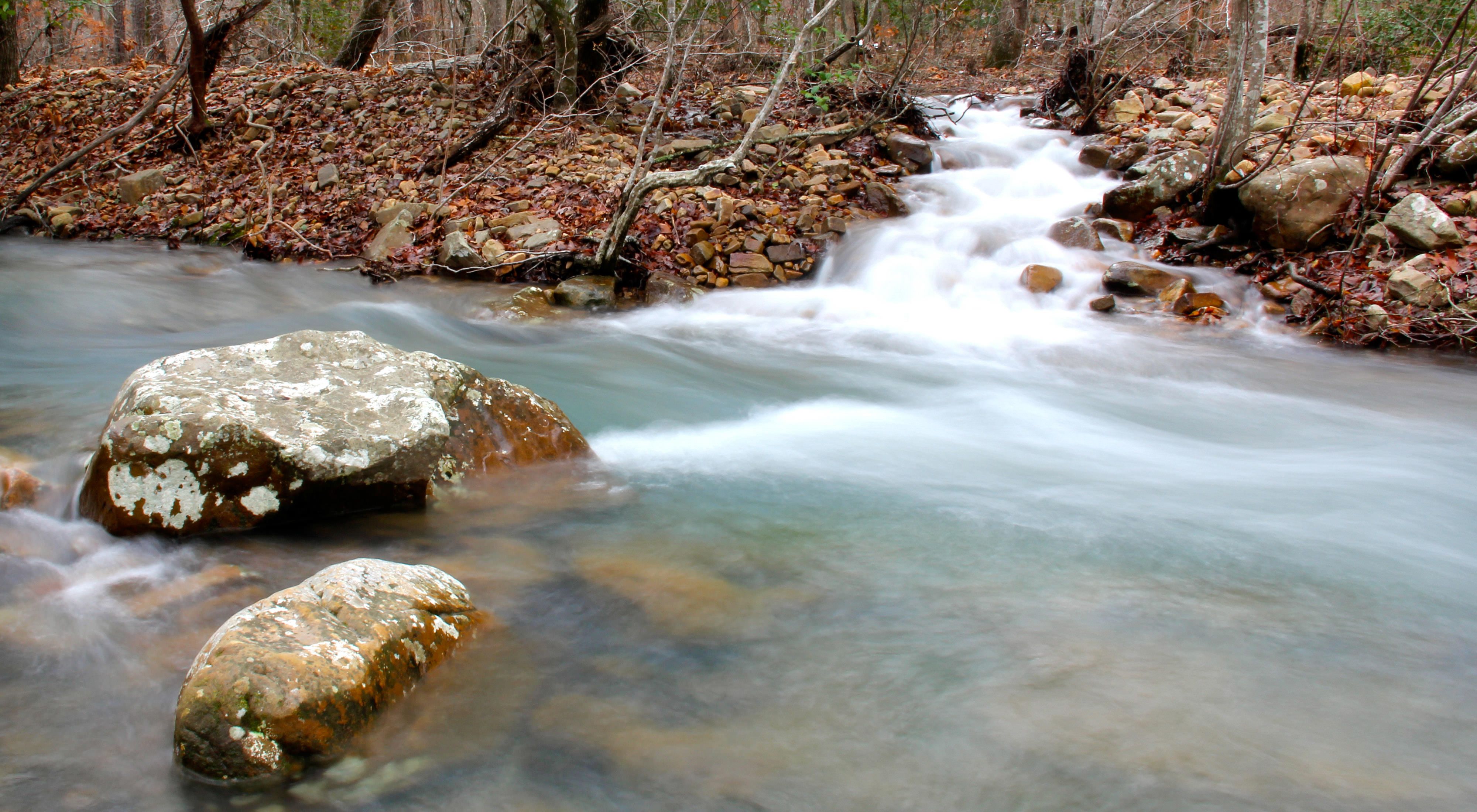 Fast-flowing waters in a small, rocky creek.