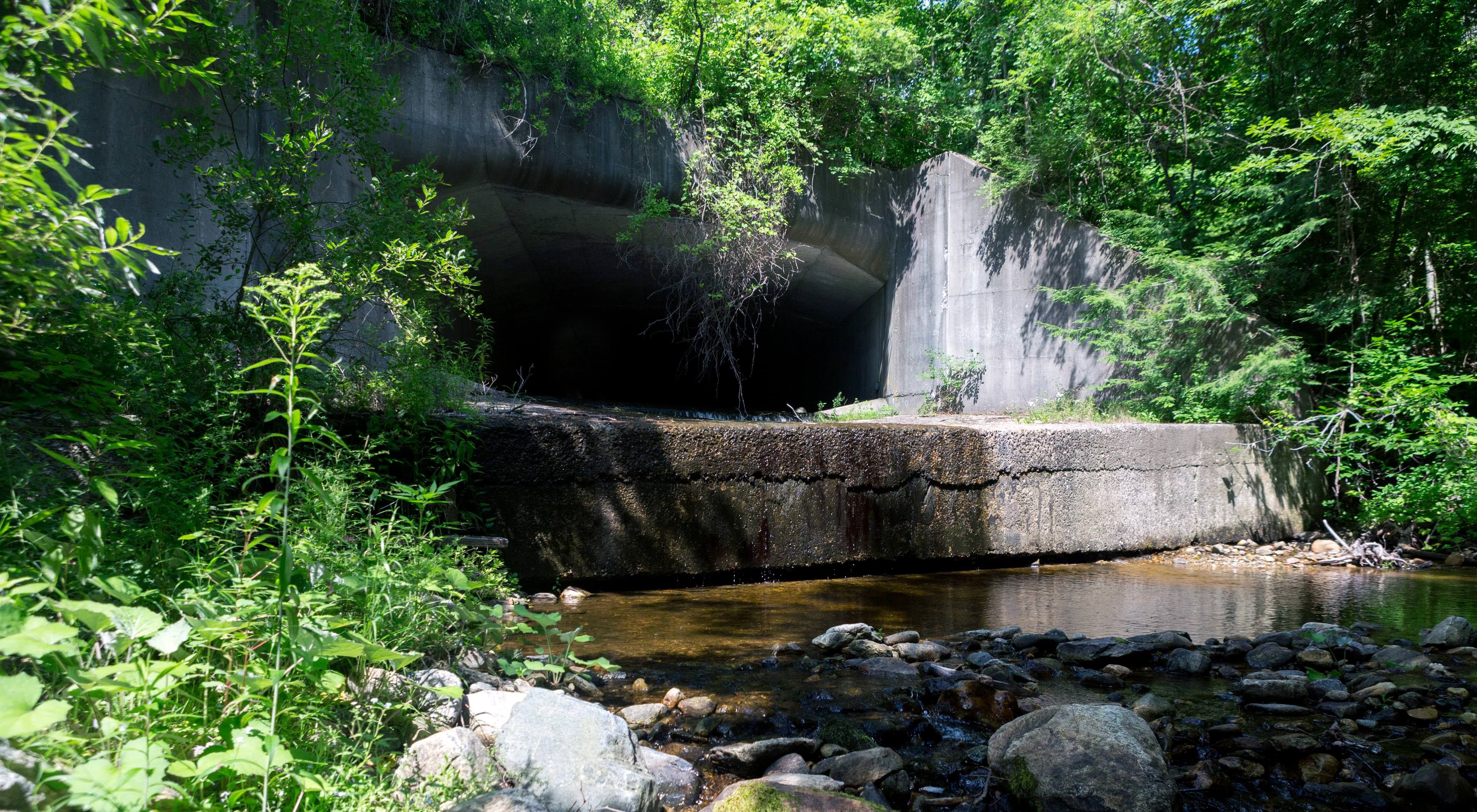 A large concrete culvert underneath Interstate 90 in Western Massachusetts, surrounded by trees and brush.