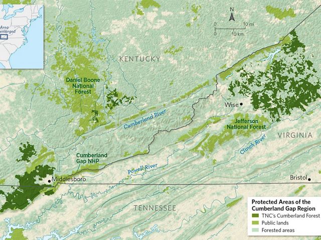 Through this innovative project, The Nature Conservancy is managing 253,000 acres of forest across Kentucky, Tennessee and Virginia.