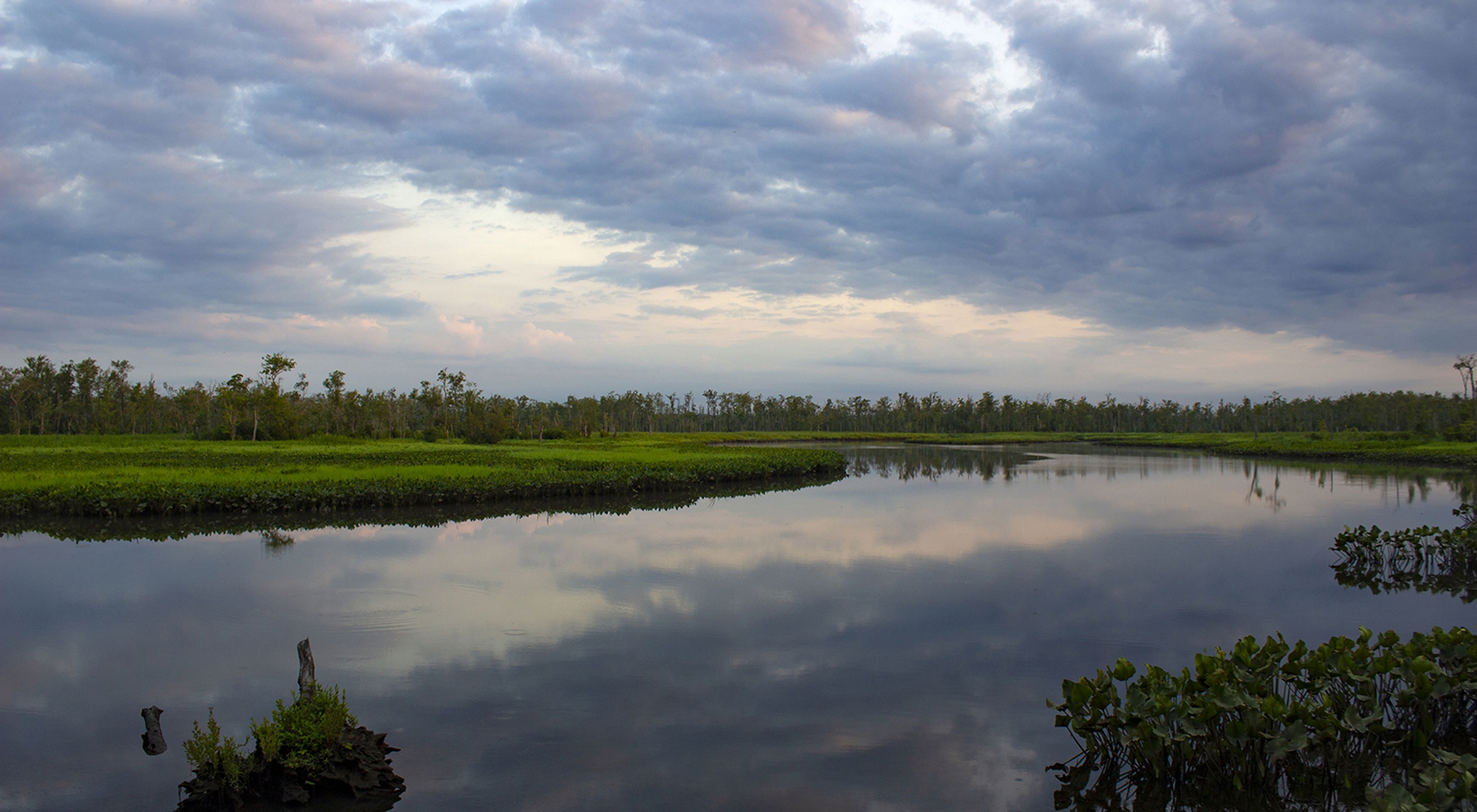Low morning clouds are reflected in the still water of a creek that winds through green wetlands.