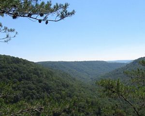 Cumberland Plateau at Fiery Gizzard overlook.