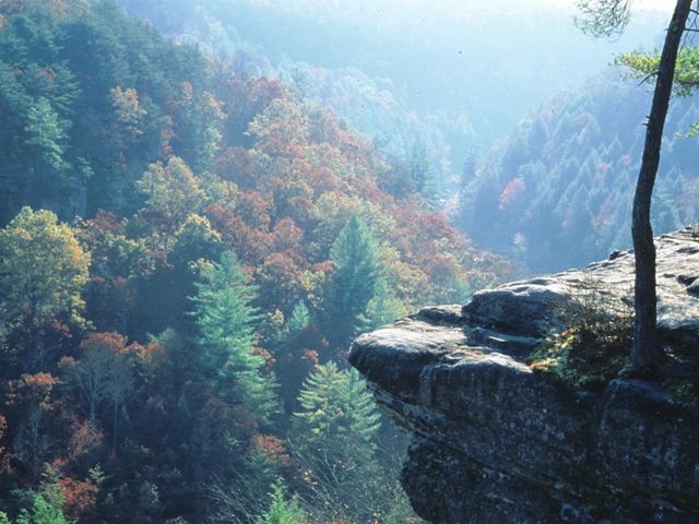 A dense forest with fall colors surrounds a rock outcrop.