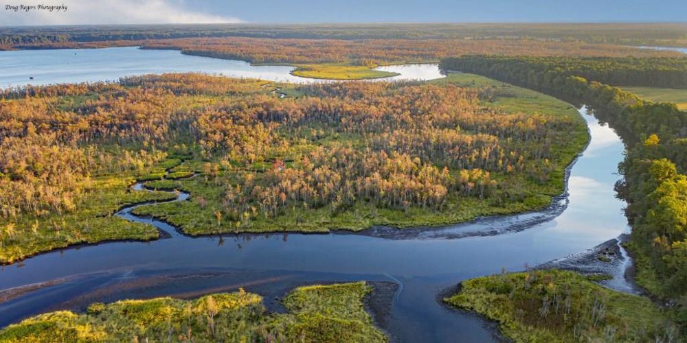 A bird’s eye view of a blue snaking river and its tributaries surrounded by forests in fall colors.