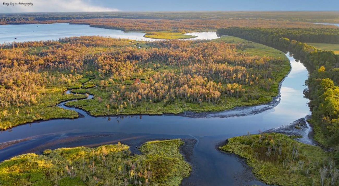 A bird’s eye view of a blue snaking river and its tributaries surrounded by forests in fall colors.