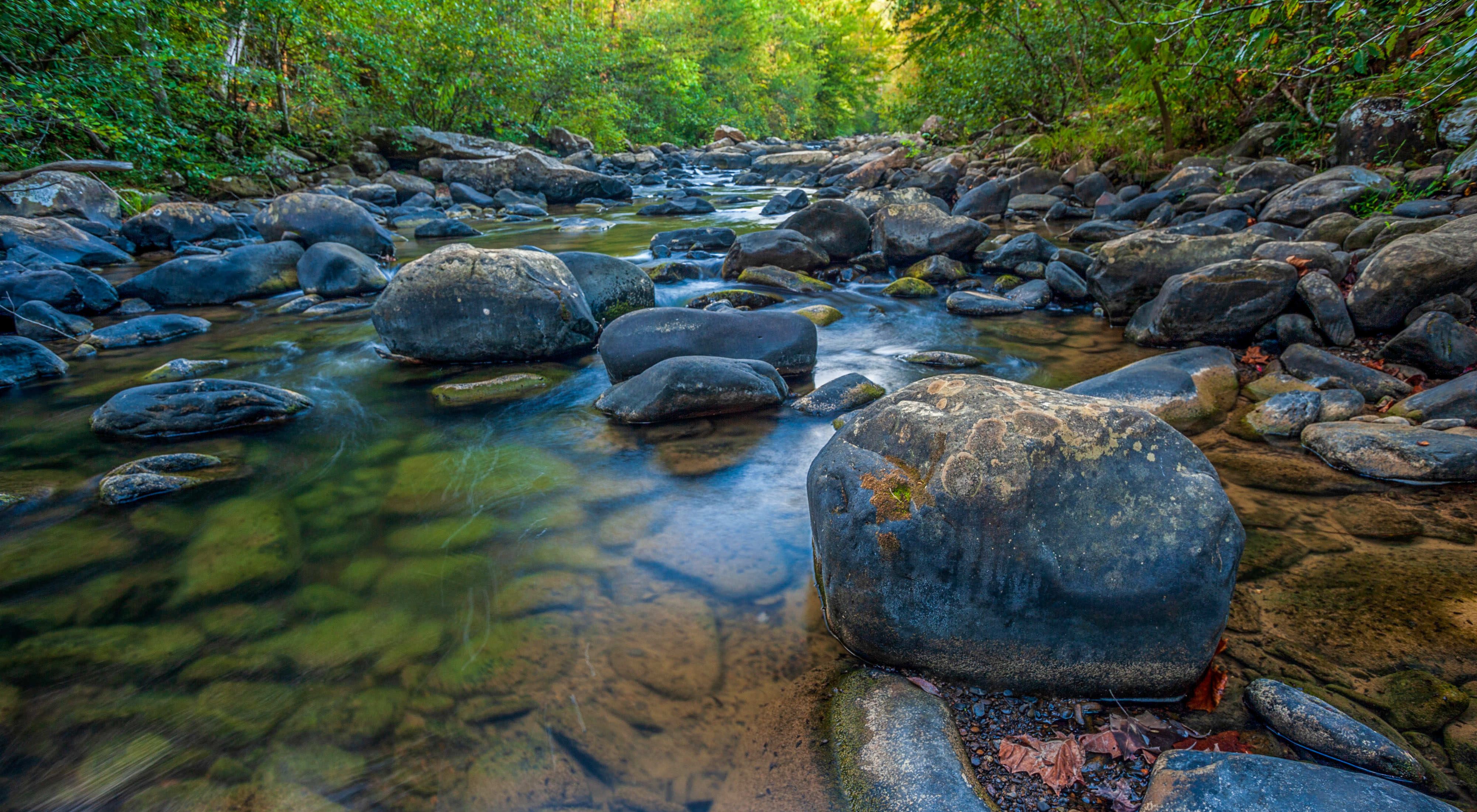 A close view of water flowing through rocks in Tackett Creek, a stream in the Cumberland Forest Project in Tennessee.