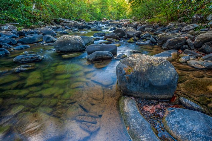 Water flows over scattered rocks in a stream.
