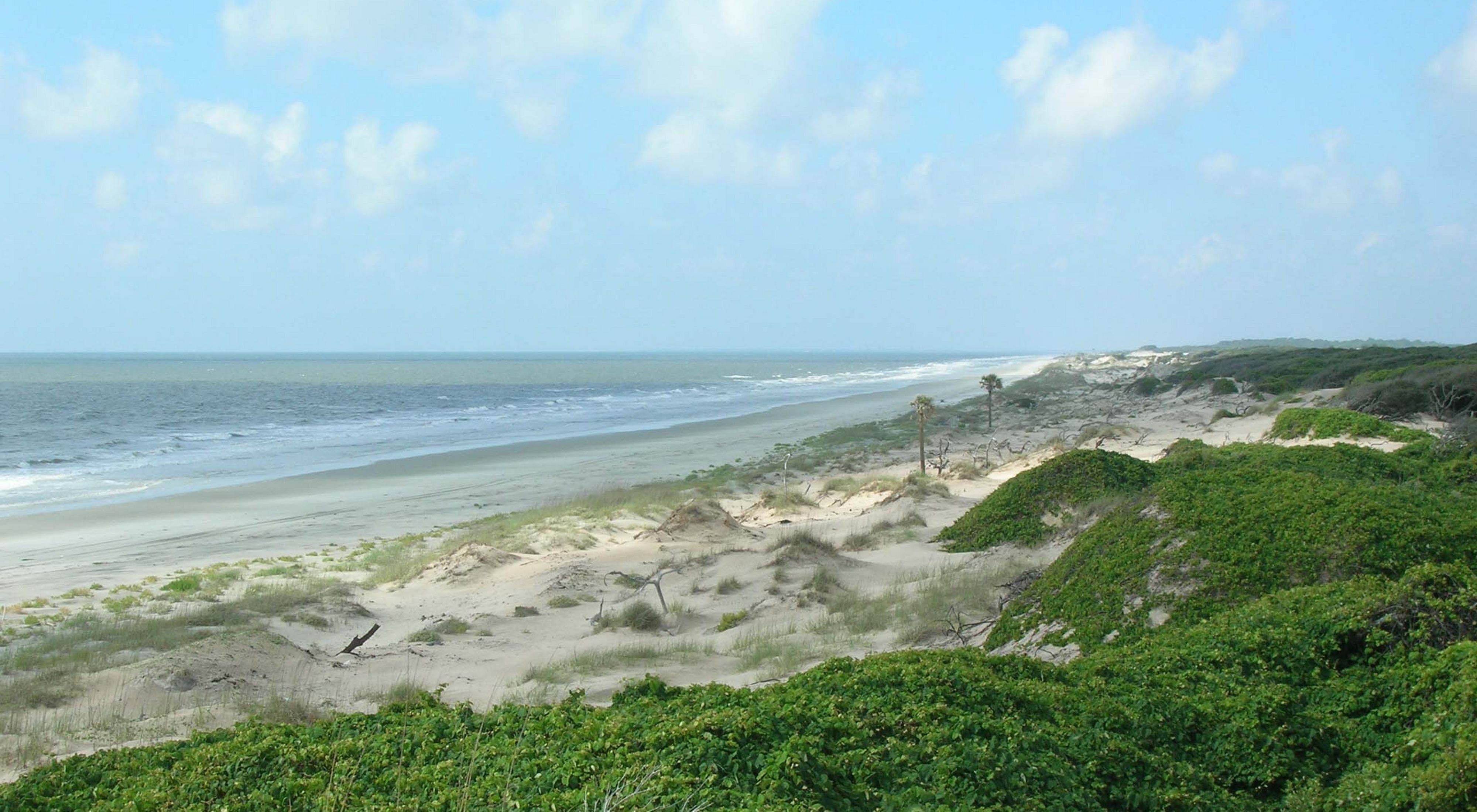 Cumberland Island’s natural treasures are preserved in large part by Cumberland Island National Seashore, established in 1972.