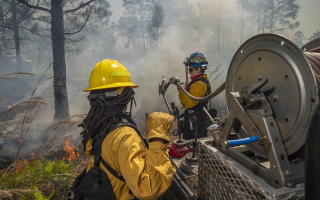 Fire professionals working with an engine and hoses on a prescribed fire. 