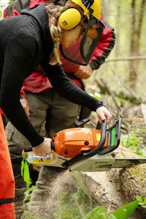A person wearing a hard hat and ear protectors uses a chainsaw.