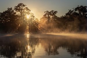 The sun rises behind a forest surrounding a calm lake.