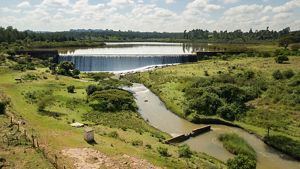 An aerial image features rivers surrounded by forest. 
