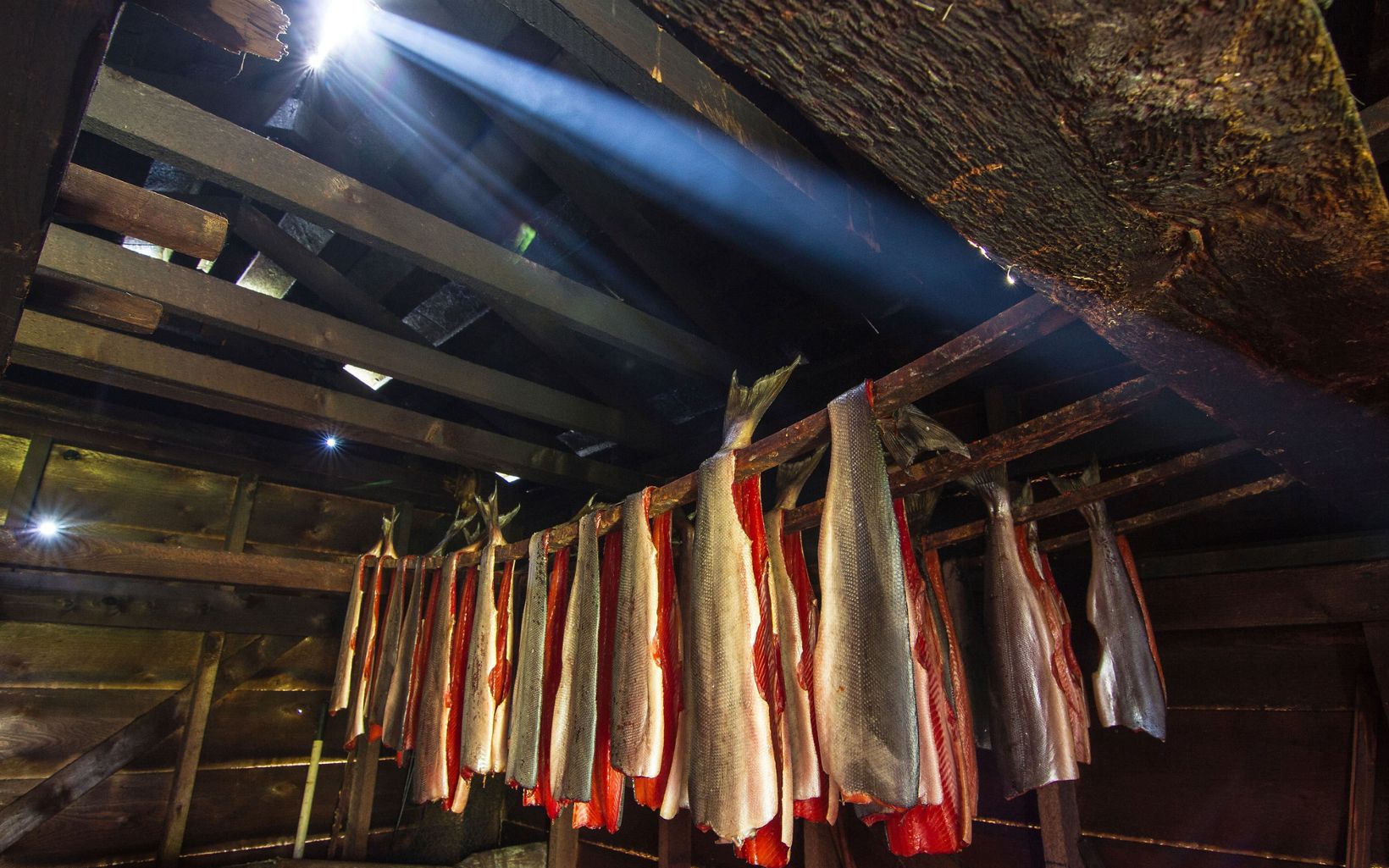 Salmon filets are prepared and hung in a smokehouse in Hydaburg on Prince of Wales Island in Southeast Alaska. 