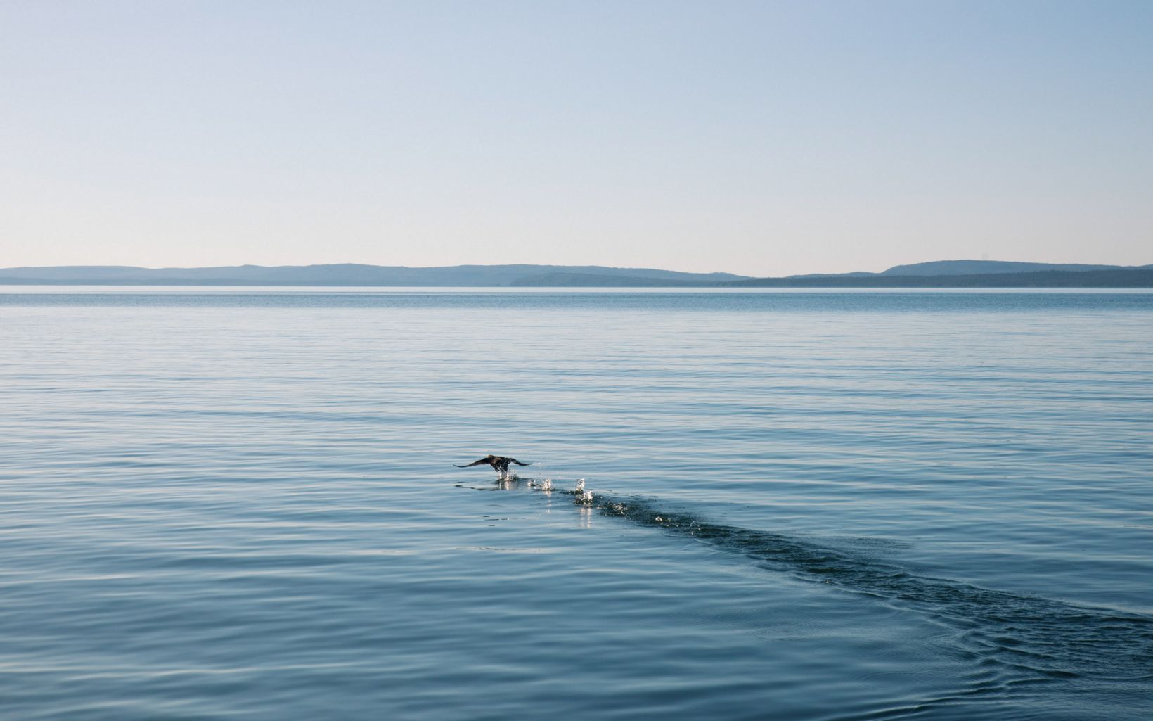Calm Waters A lake in the Lustel K'e territory of NWT, Canada. © Pat Kane