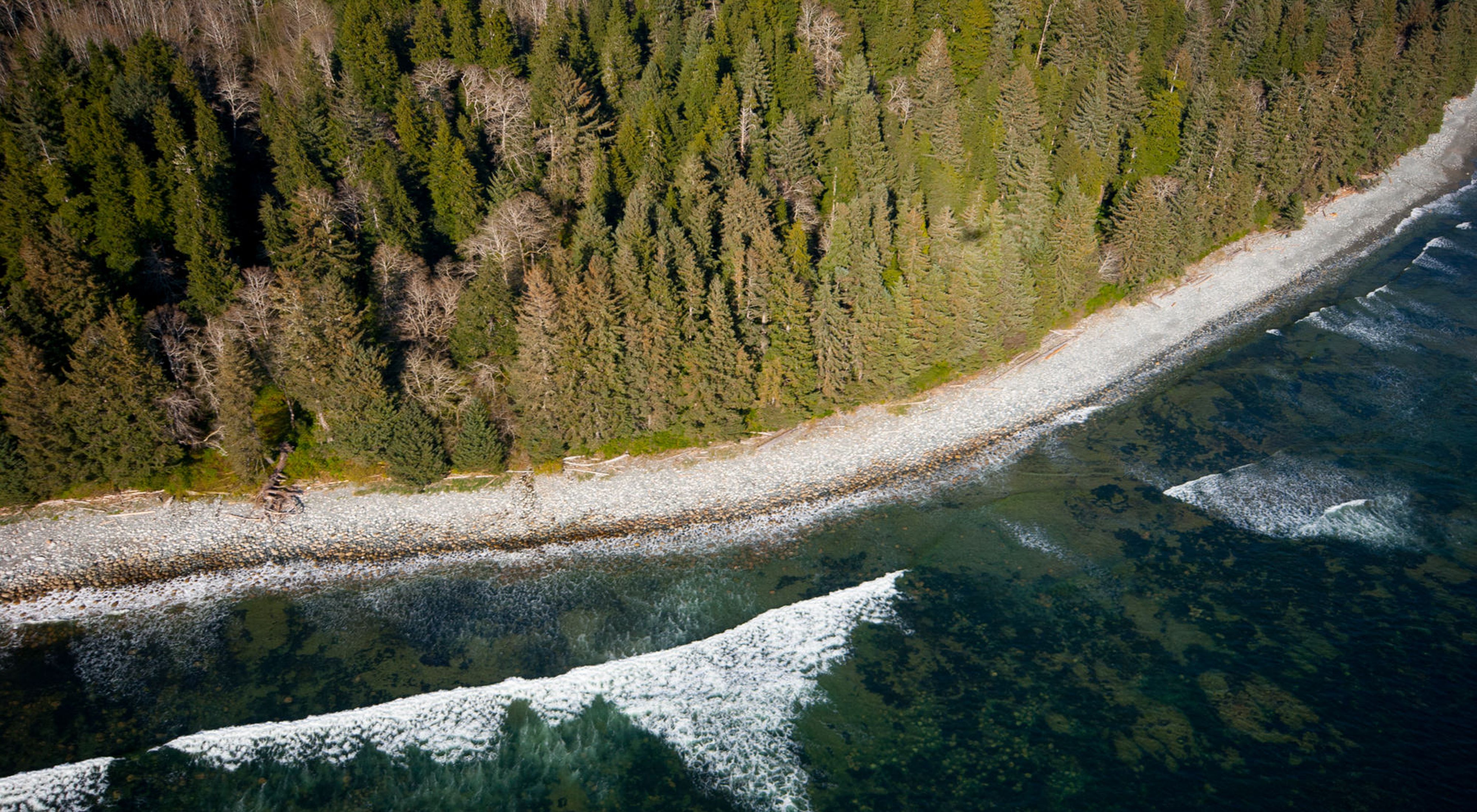 aerial view of waves crashing on a beach with a dense forest