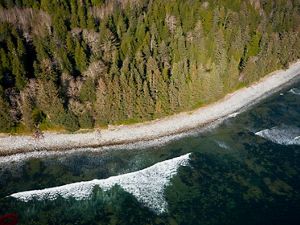 aerial view of waves crashing on a beach near a forest.