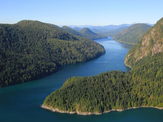 Aerial of spruce and cedar forest along a river bend in Clayoquot Sound.