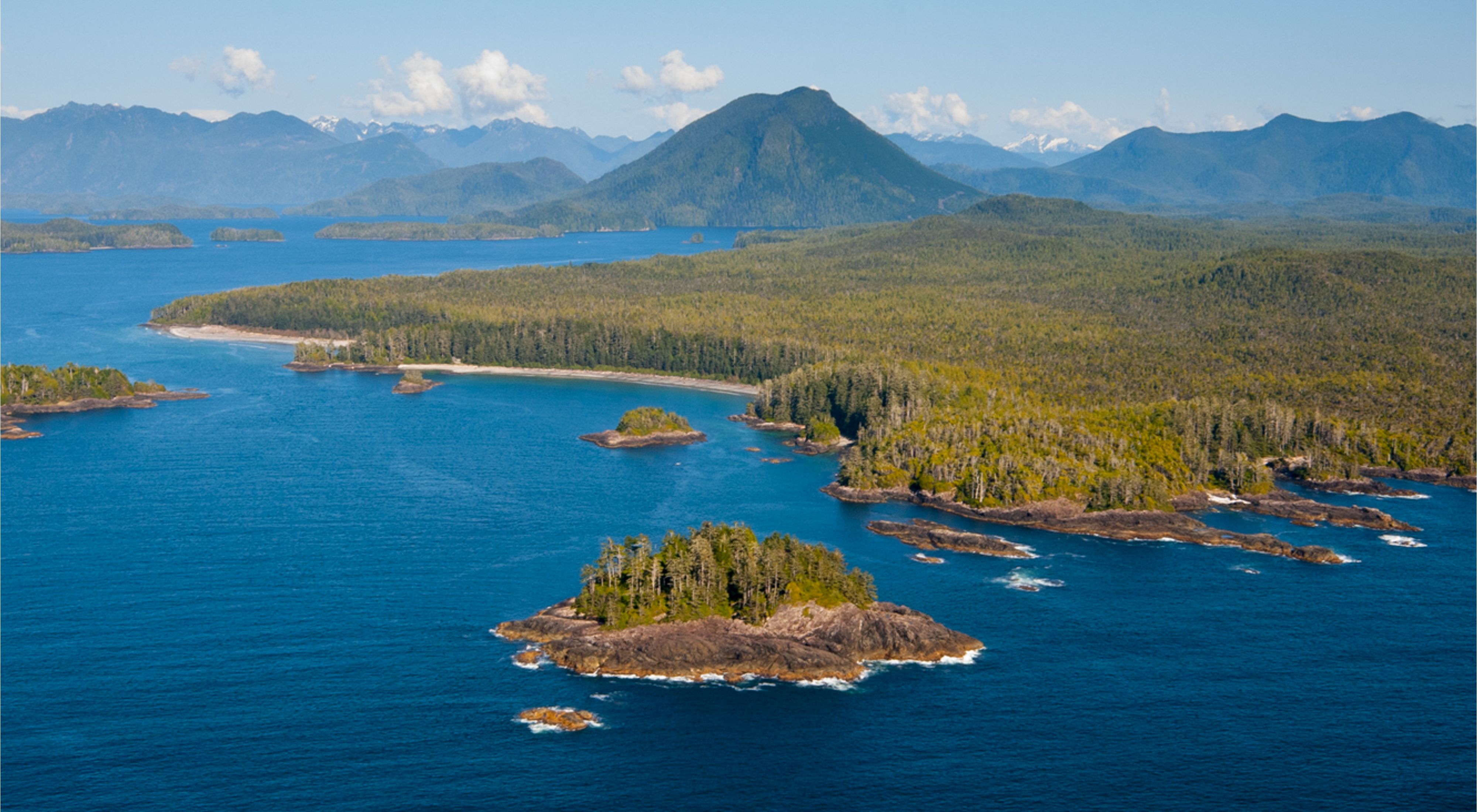 Aerial view of forest and coastline.