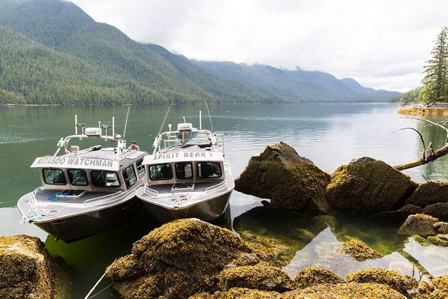 Photo of boats moored along the waters of the Great Bear Rainforest.