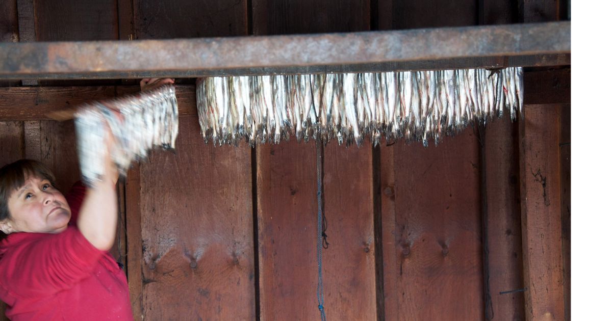 woman hanging fish to dry