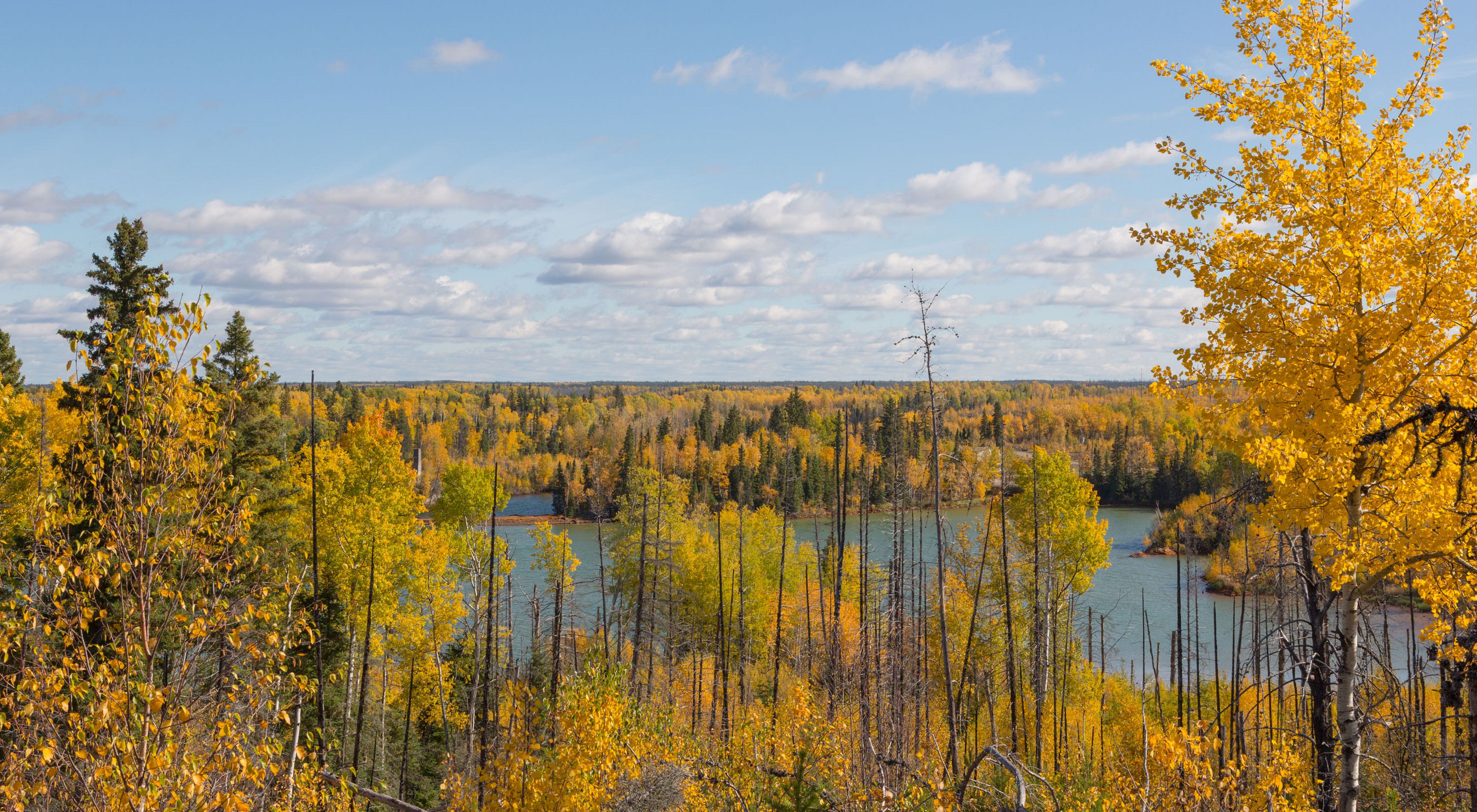 Natural Climate Solutions