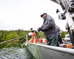 Ernest (Charlie) Mason, a hereditary chief in the Kitasoo/Xai’Xais Nation, is also a fisherman. He works as a boat operator and a bear guide for the Spirit Bear Lodge.