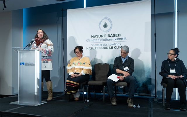 Nature-Based Solutions Summit