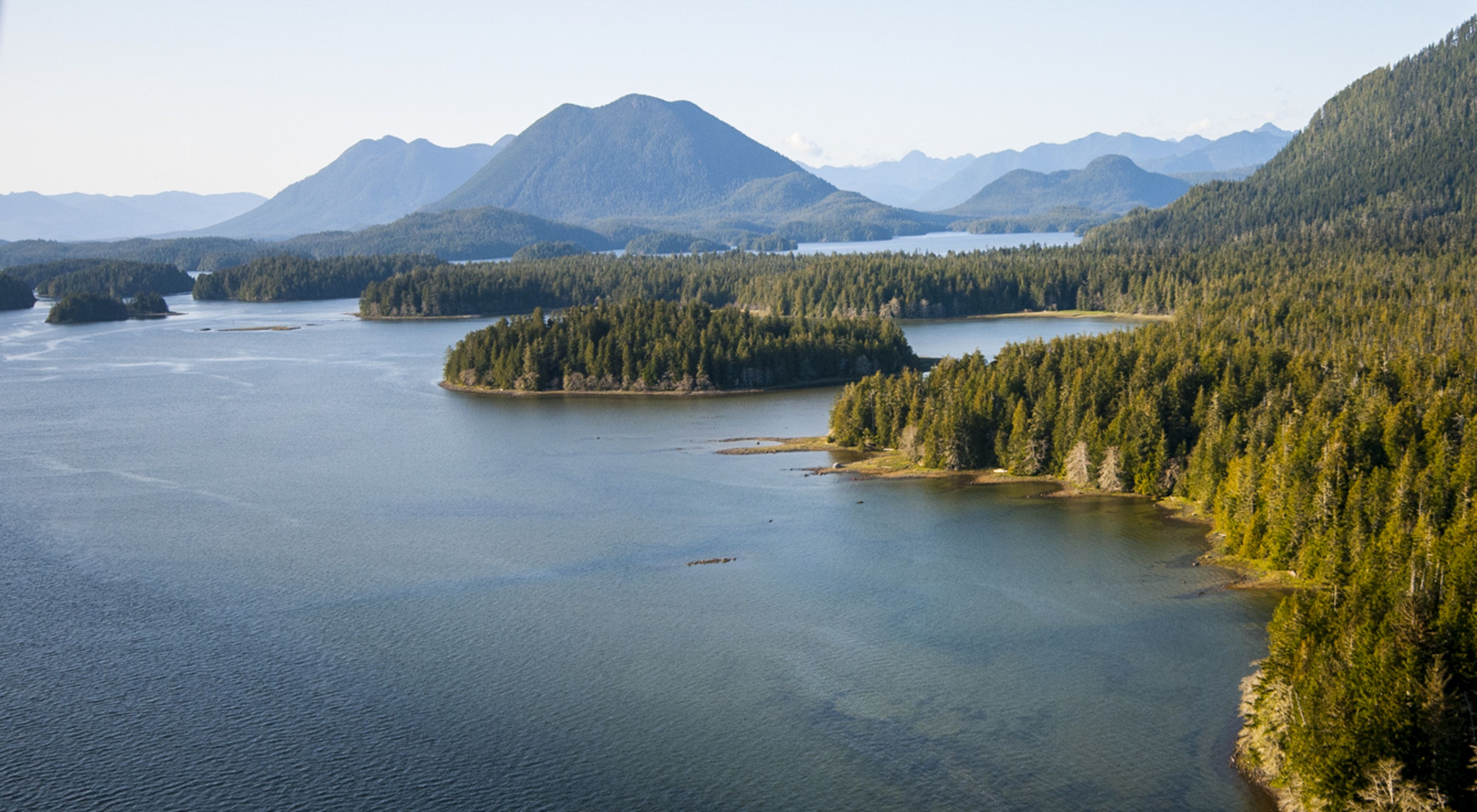 Aerial view of the vast, tree-covered costal inlets of Clayoquot Sound. 