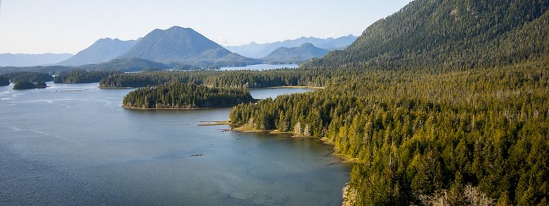 Aerial view of forested islands in a large body of water.
