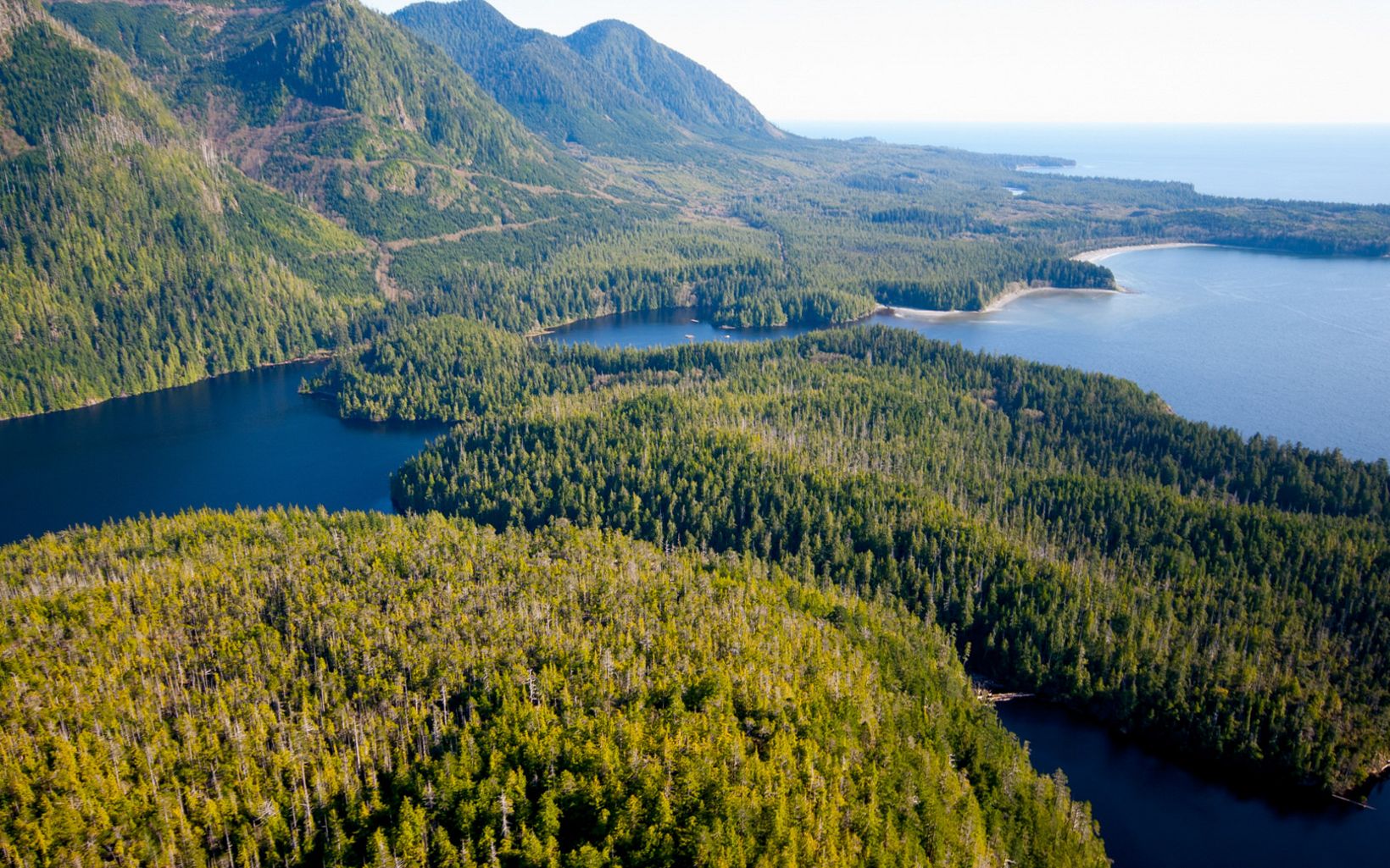  An aerial view of Clayoquot Sound, on the west coast of Vancouver Island in the Canadian province of British Columbia.