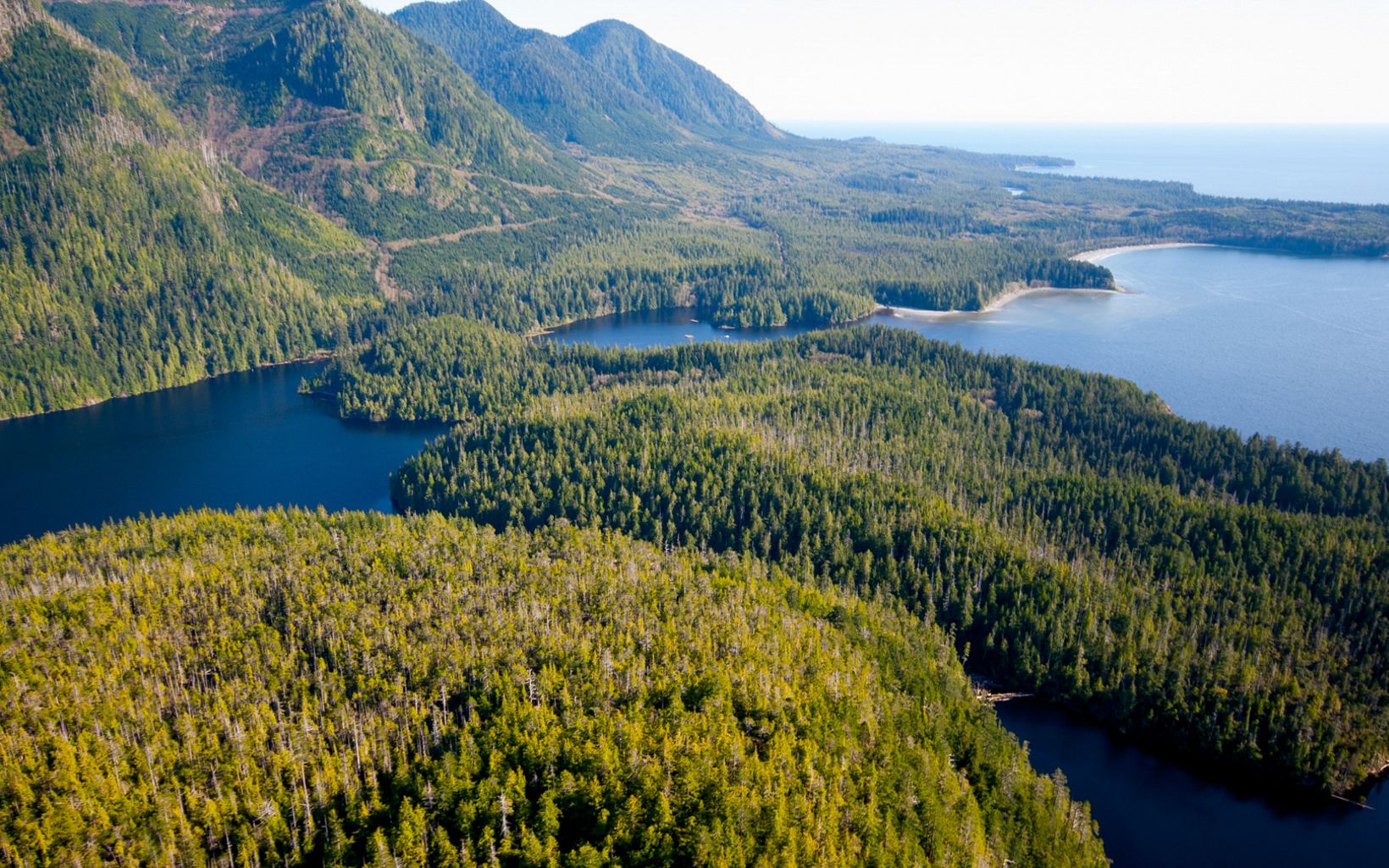 An aerial view of Clayoquot Sound, on the west coast of Vancouver Island in the Canadian province of British Columbia.