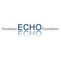 gray and blue logo for Echo Foundation