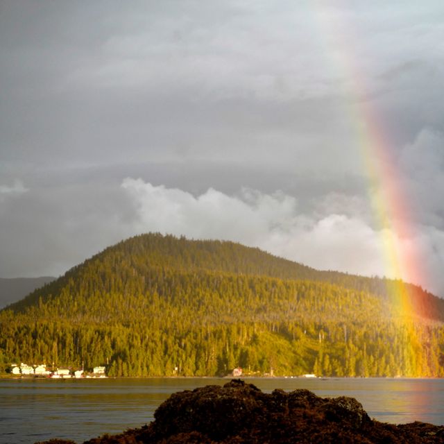 two bald eagles look at a rainbow that's formed over the great bear rainforest