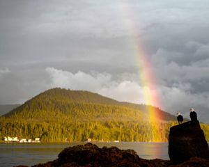 two bald eagles look at a rainbow that's formed over the great bear rainforest