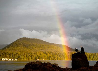 two bald eagles look at a rainbow that's formed over the great bear rainforest