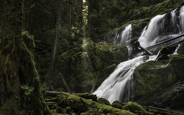 A waterfall cascades in the coastal temperate rainforest of British Columbia