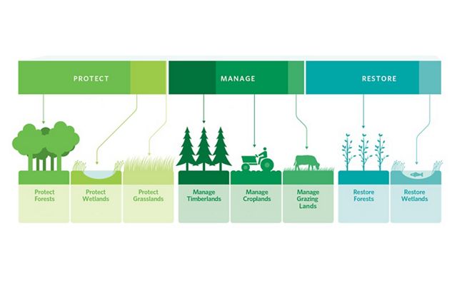 A graphic illustrating the framework of natural climate solutions - protect, manage, restore.