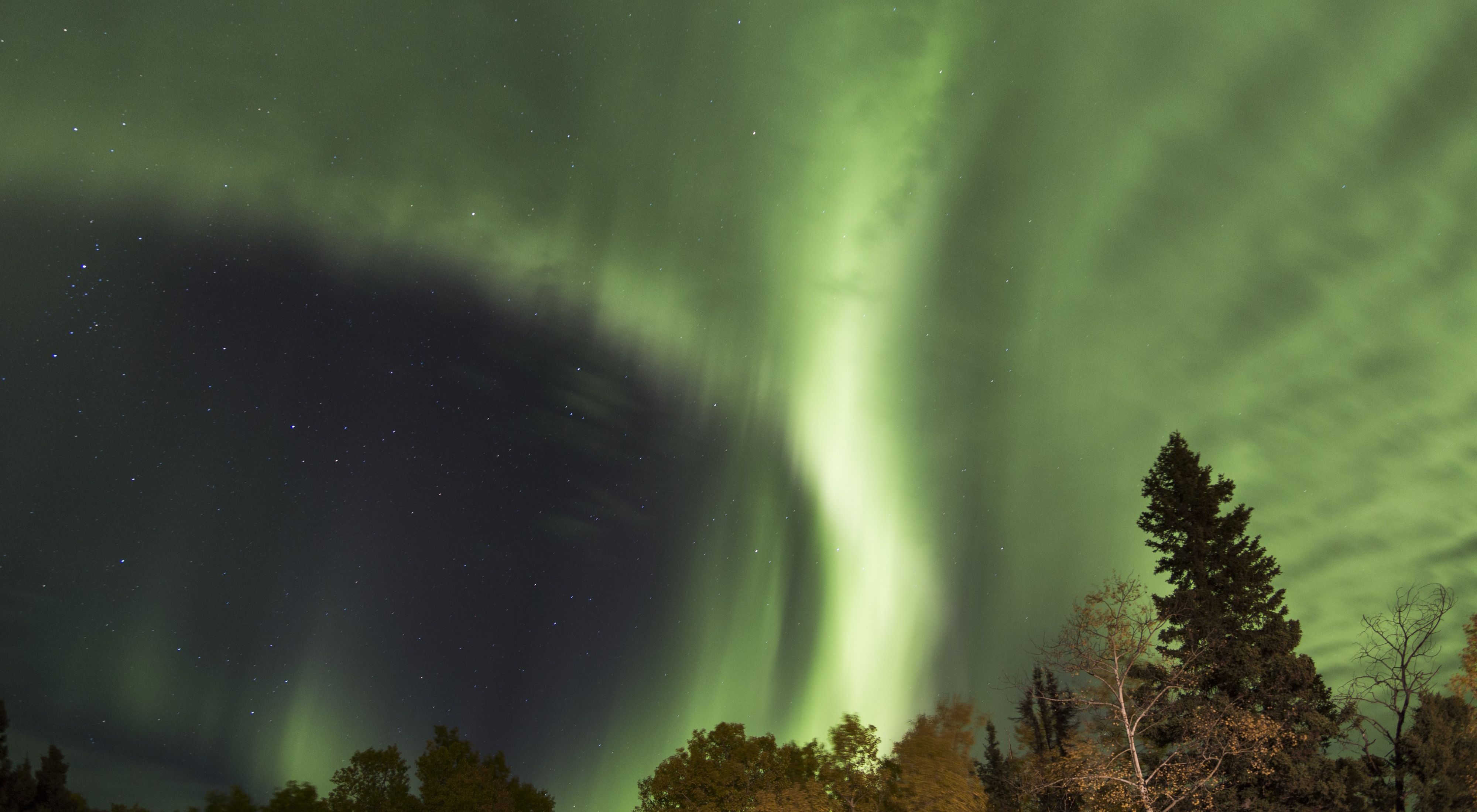 In northern Manitoba, the aura borealis shines over the boreal forest.