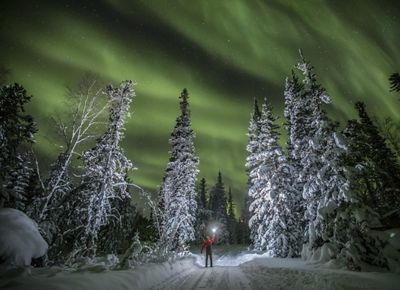 A person holds a light ball to illuminate the snowy trees under the northern lights in Northwest Territories, Canada.
