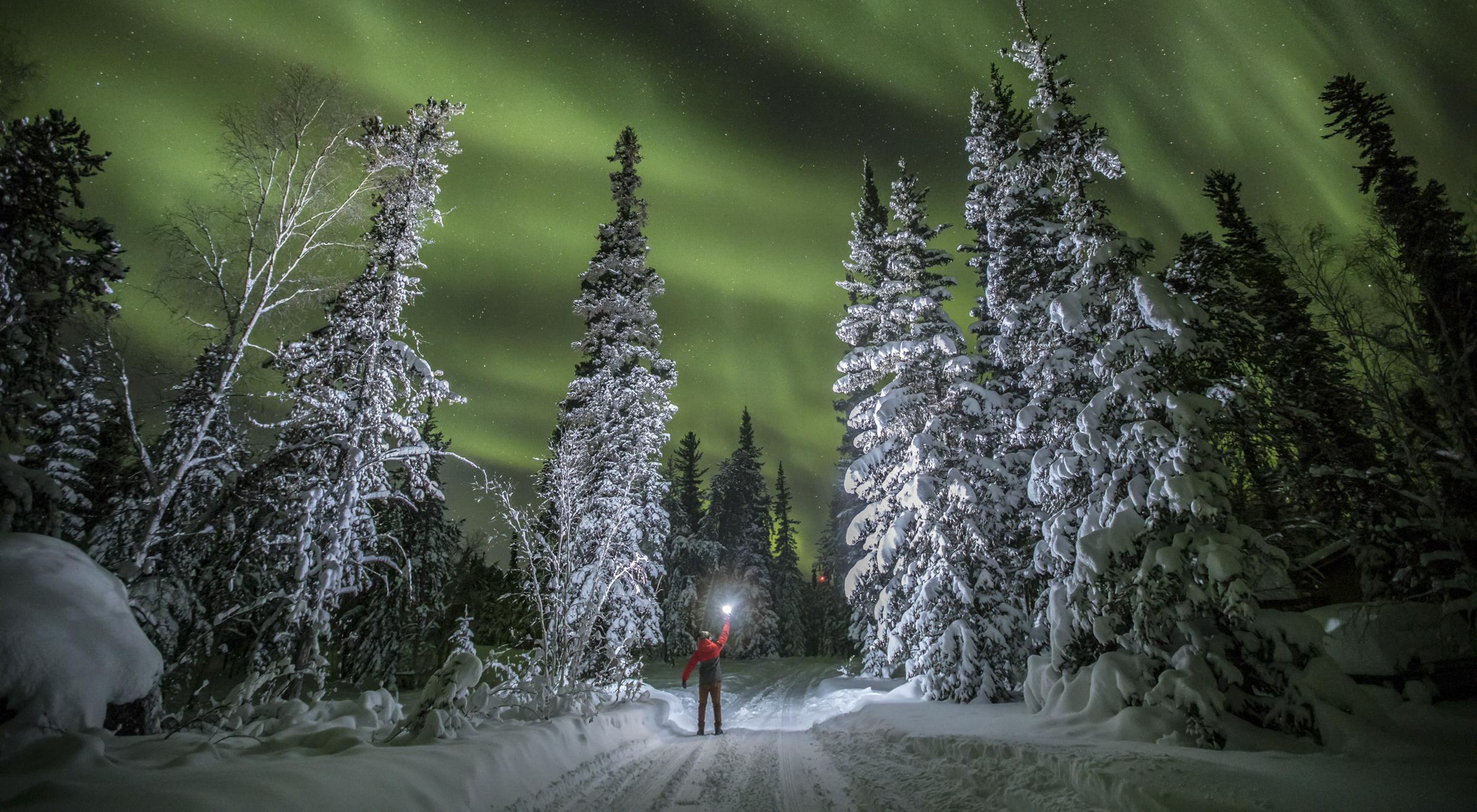 A person holds a light ball to illuminate the snowy trees under the northern lights in Northwest Territories, Canada.