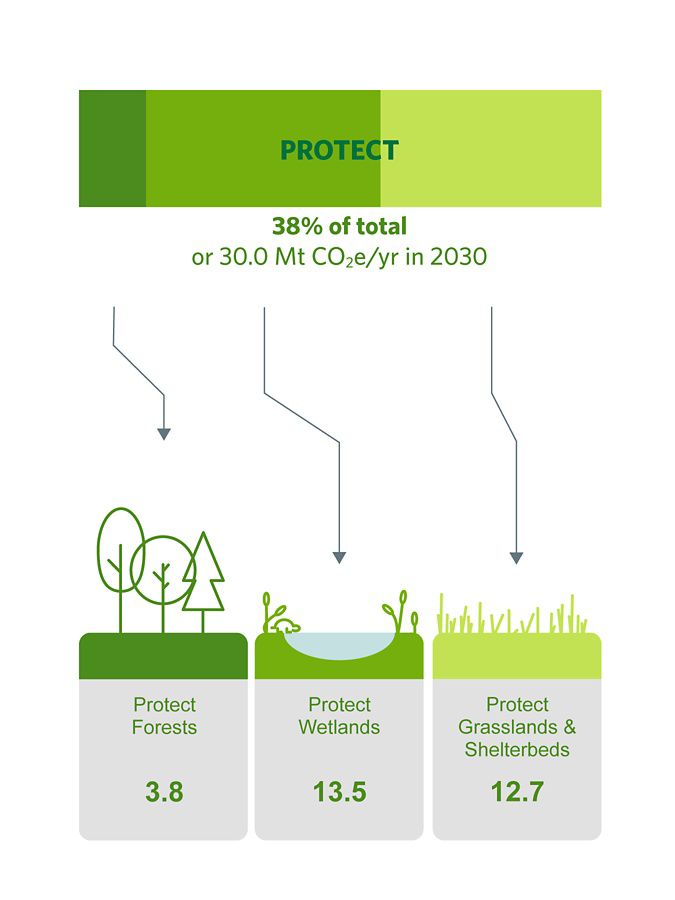 Graphic showing mitigation potential for protection.