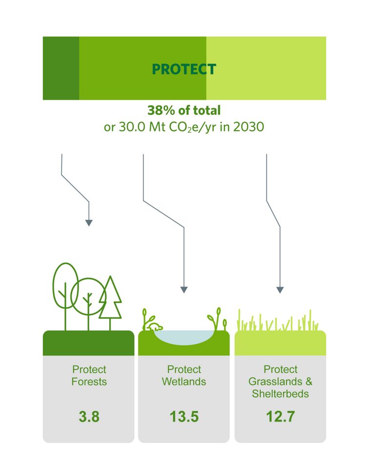 Graphic showing mitigation potential for protection.