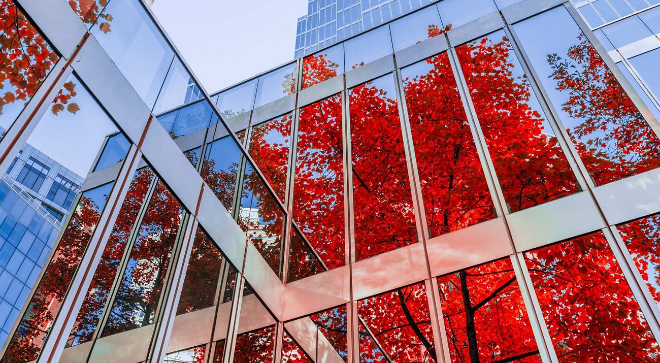 toronto skyline with blue sky and green trees