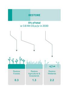 Graphic showing mitigation potential for restoration.