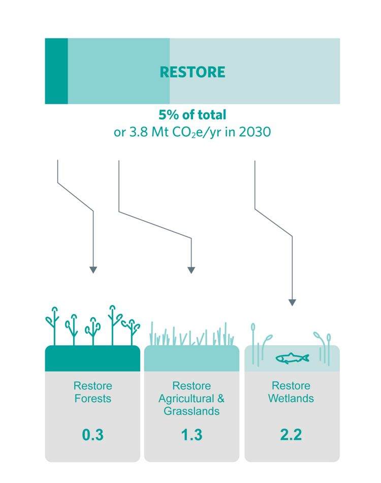 Graphic showing mitigation potential for restoration.