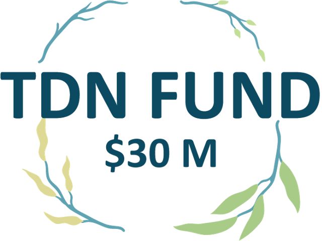 TDN Fund