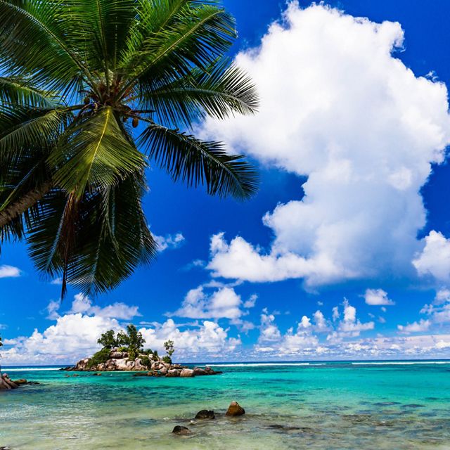 TNC's NatureVest, gathered enough impact capital and philanthropic grants to help Seychelles restructure nearly $30 million of its debt.